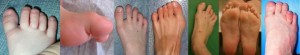 cropped-Nbs_feet1.jpg